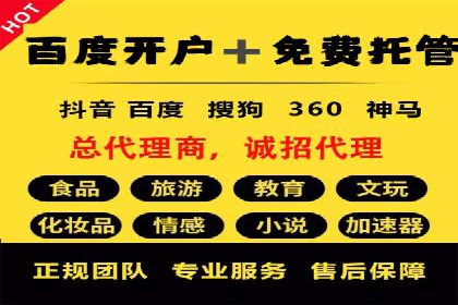 揭秘百度竞价代理：实战案例分析